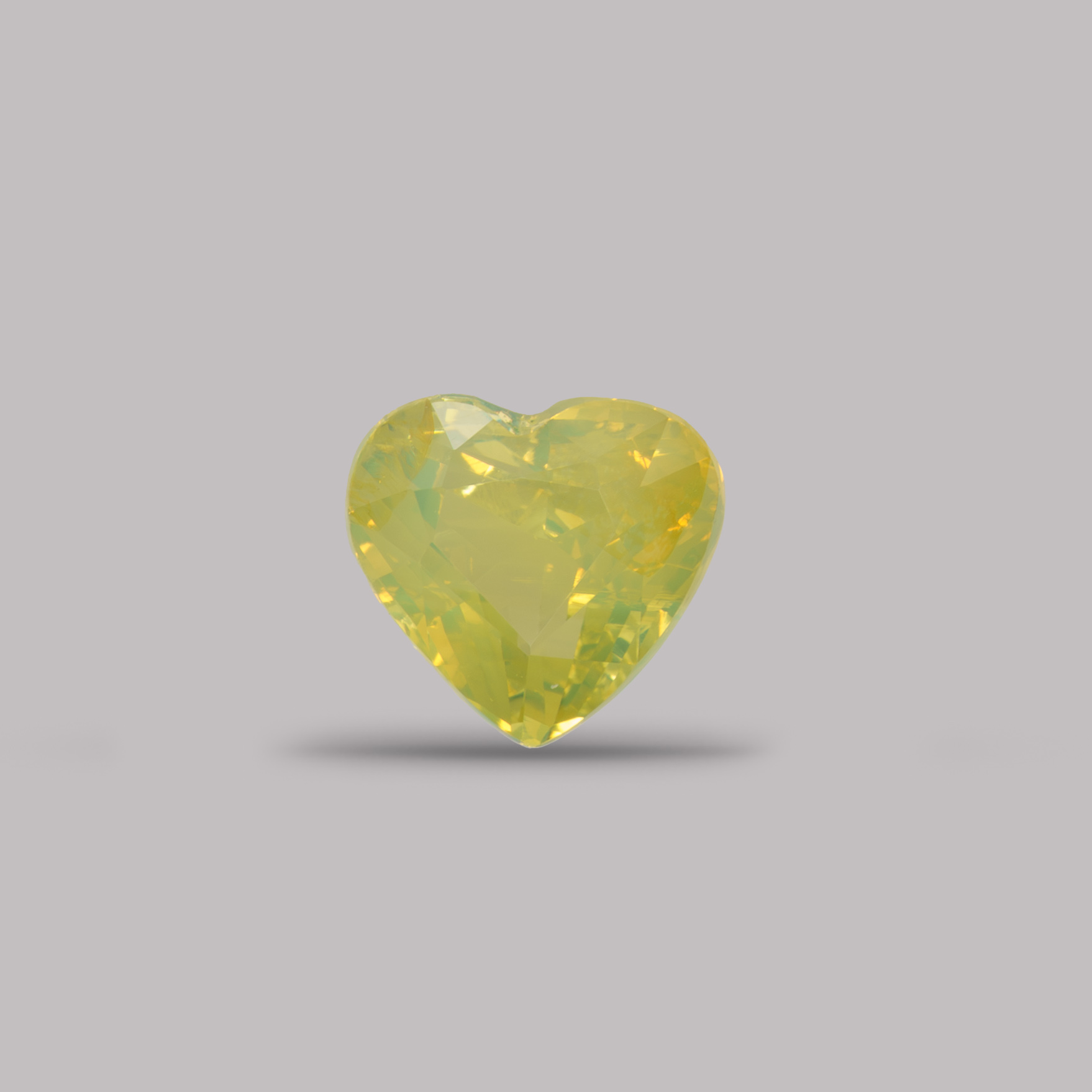 chrys0108_1