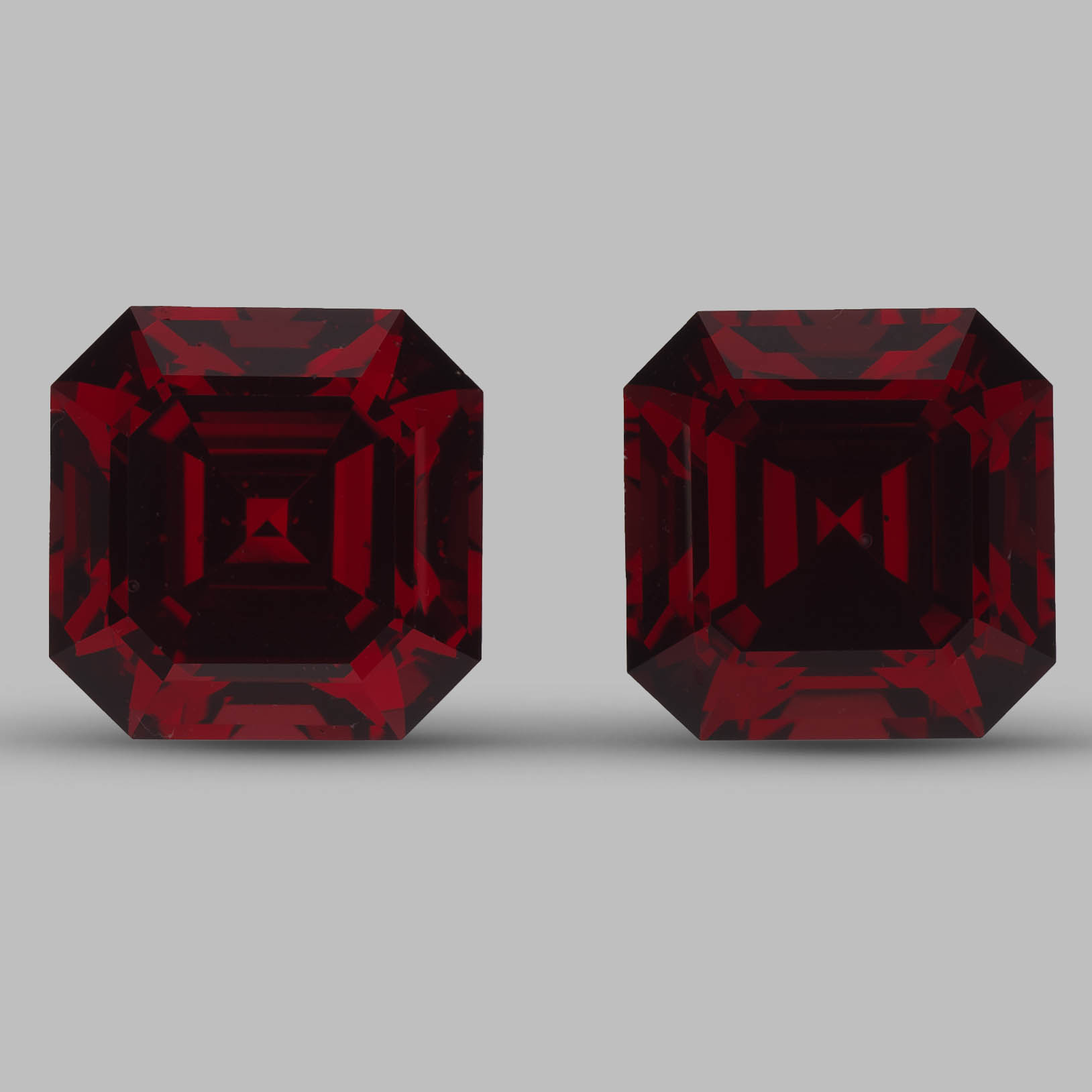 garnet0166_1-1.jpg